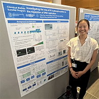 ChBSP summer student Casey Chan presents her poster